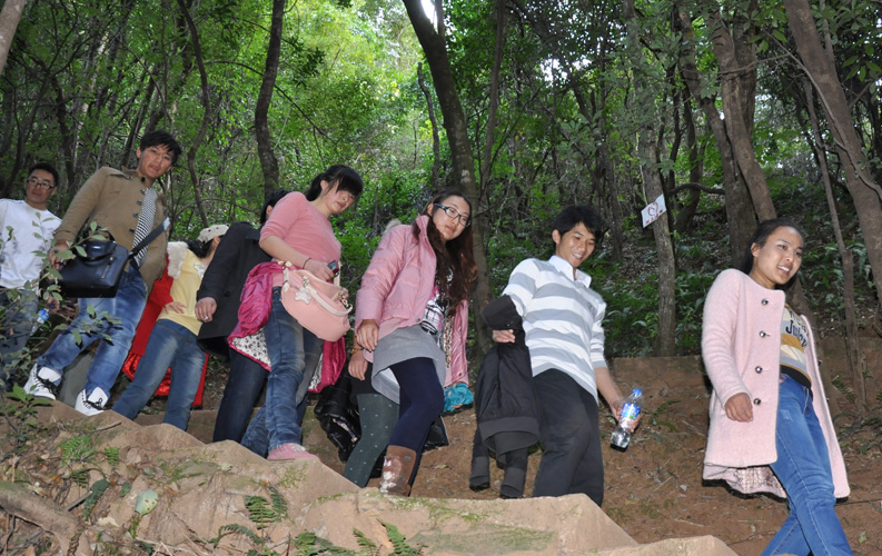 青龍峽位于昆明西郊安寧市青龍鎮(zhèn)滇中生態(tài)大峽谷中，景區(qū)有保存較為完好的植物群落，遮天蔽日的參天古木；有浪漫山花，野果飄香，還有清秀寧靜的田園風(fēng)光。河谷沿岸古柳成蔭，幾十里的云南櫻花大道成為昆明郊游靚麗的風(fēng)景線。景區(qū)中溪水潺潺，千姿百態(tài)、千奇百怪的蔓藤風(fēng)光隨處可見，號稱“都市身旁的小九寨。